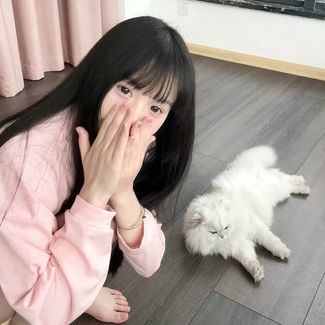 白日梦