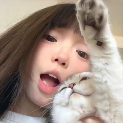 失意旅行